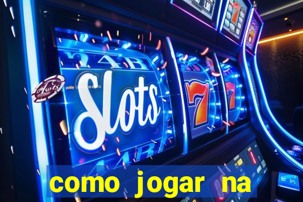 como jogar na lotinha do jogo do bicho